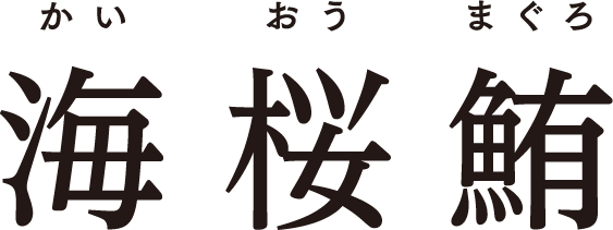 海桜鮪 かいおうまぐろ